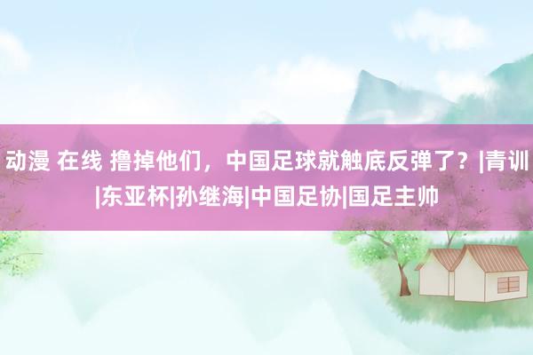 动漫 在线 撸掉他们,中国足球就触底反弹了?|青训|东亚杯|孙继海|中国足协|国足主帅