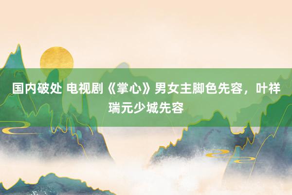 国内破处 电视剧《掌心》男女主脚色先容，叶祥瑞元少城先容