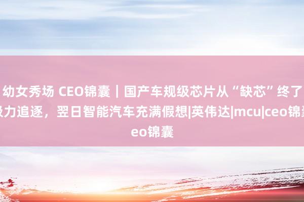 幼女秀场 CEO锦囊｜国产车规级芯片从“缺芯”终了极力追逐，翌日智能汽车充满假想|英伟达|mcu|ceo锦囊