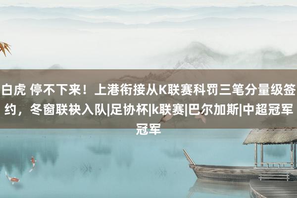 白虎 停不下来！上港衔接从K联赛科罚三笔分量级签约，冬窗联袂入队|足协杯|k联赛|巴尔加斯|中超冠军