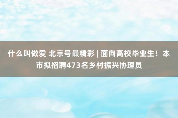 什么叫做爱 北京号最精彩 | 面向高校毕业生！本市拟招聘473名乡村振兴协理员