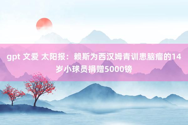 gpt 文爱 太阳报:赖斯为西汉姆青训患脑瘤的14岁小球员捐赠5000镑