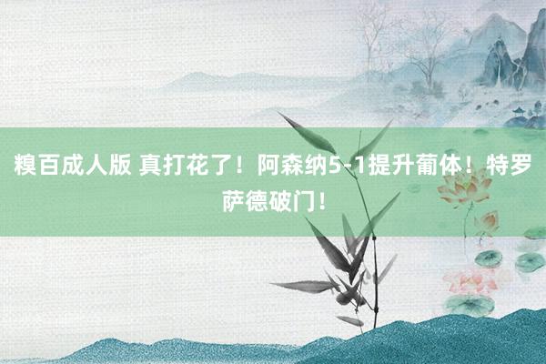 糗百成人版 真打花了！阿森纳5-1提升葡体！特罗萨德破门！