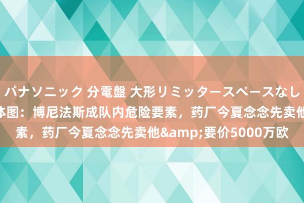 パナソニック 分電盤 大形リミッタースペースなし 露出・半埋込両用形 体图：博尼法斯成队内危险要素，药厂今夏念念先卖他&要价5000万欧